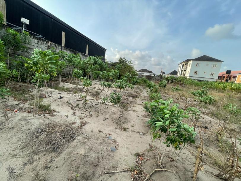Land for commercial development in Ajah/Lekki Lagos-4