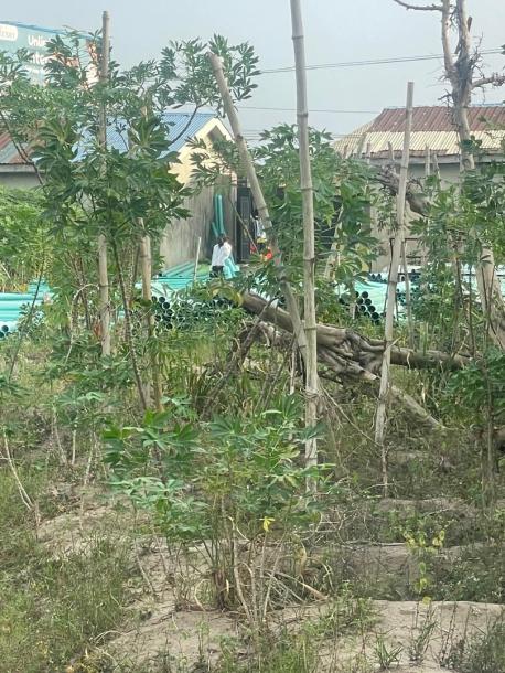 Land in Aba, Abia state (4 and half full plots)-1